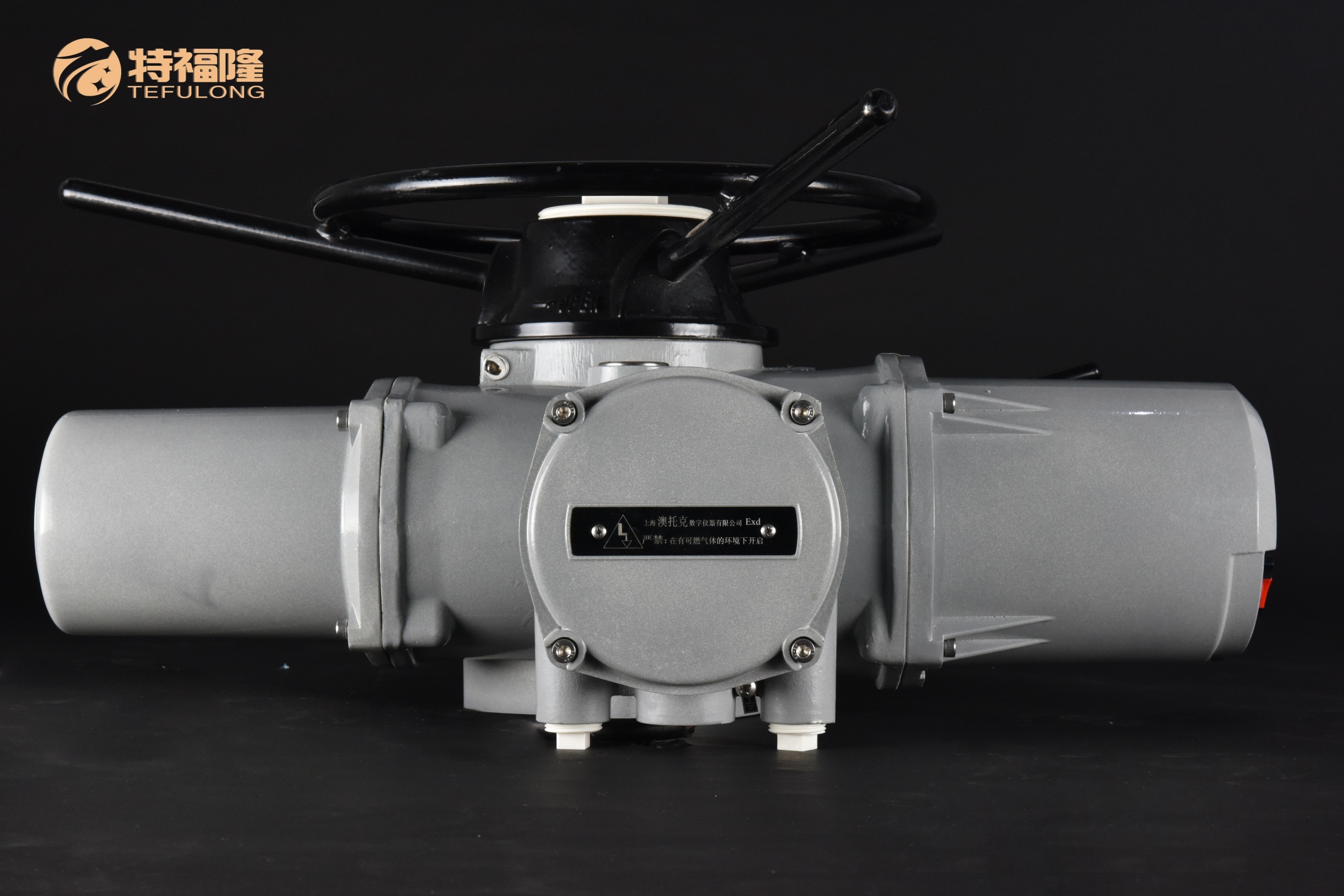 IK flameproof front view