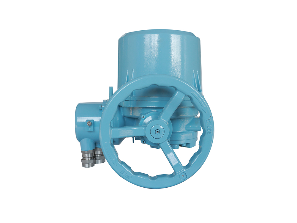 HENGCHUN CKDJH 1E K3 part-turn device