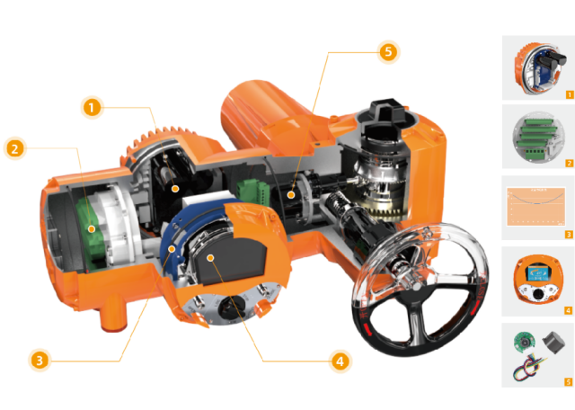 S-Diamond structure cutaway
